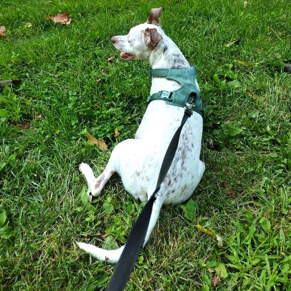 Meet your Posh Ambassador, Monika - Picture 4 of 7